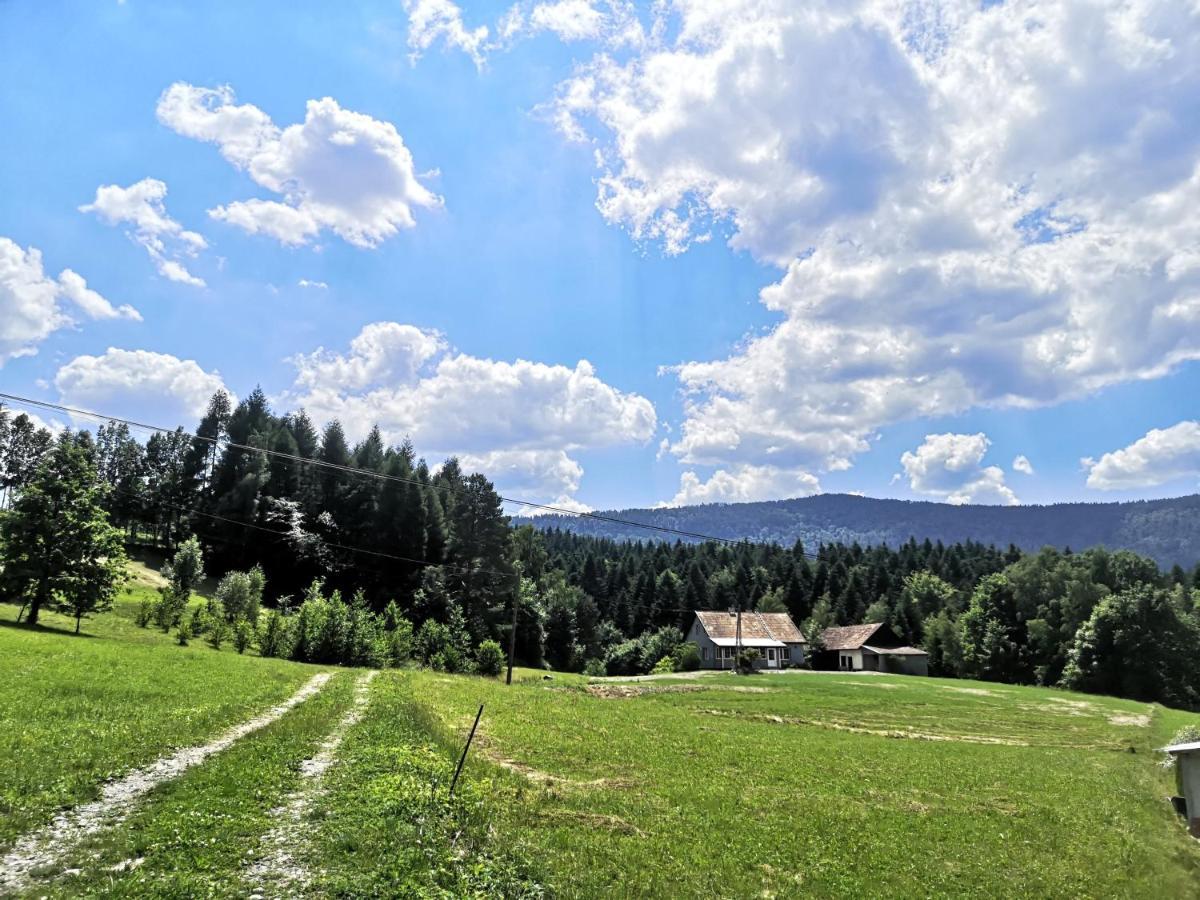 Siedlisko Podjaworzem * Grybow